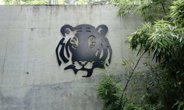 'Ferocious' Tiger Enclosure Frankfurt Zoo - photo credit Nina Wulf